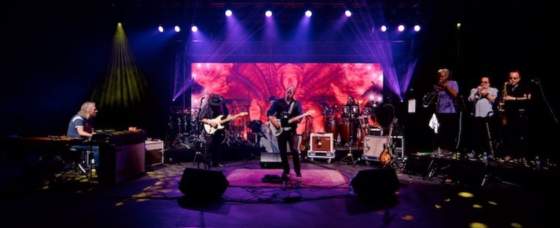 Video Premiere “Looking Back” by Dagnasterpus Video Premiere “Looking Back” by Dagnasterpus